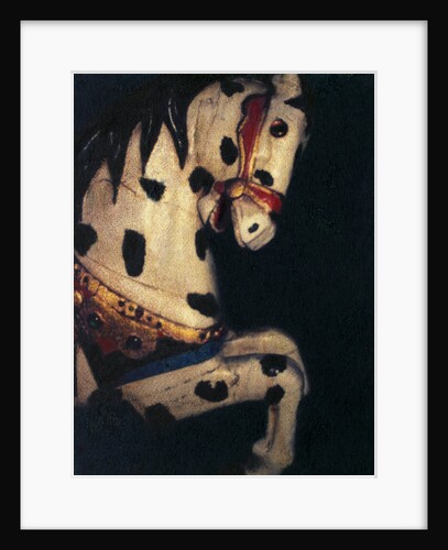 Carousel Horse by Jennifer Kennard