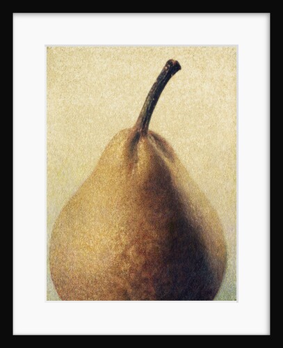 D'Anjou Pear by Jennifer Kennard
