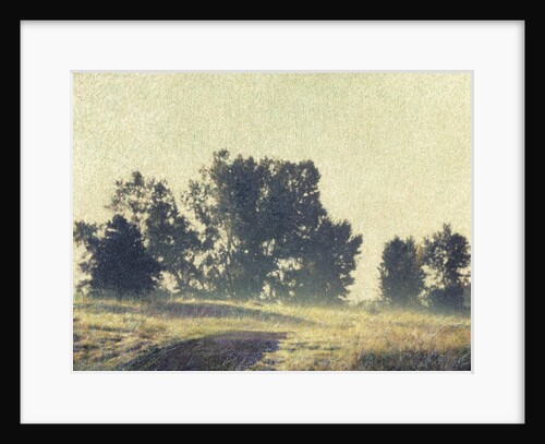 Foggy Morning by Jennifer Kennard