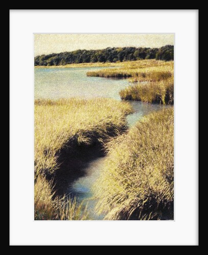 Cape Cod Tidelands by Jennifer Kennard
