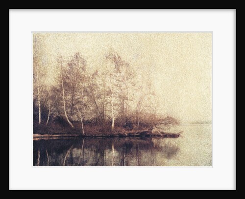 Birch Trees by Jennifer Kennard