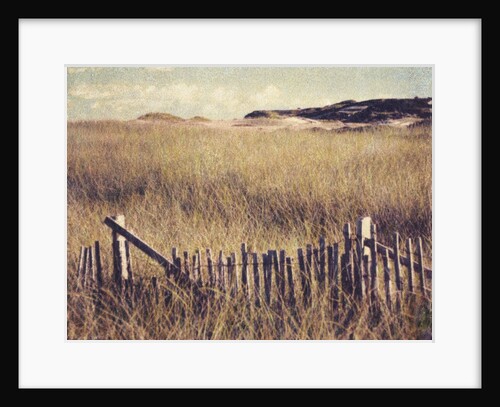 Cape Cod Sandunes by Jennifer Kennard