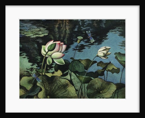 Lotus Collage by Robert McIntosh