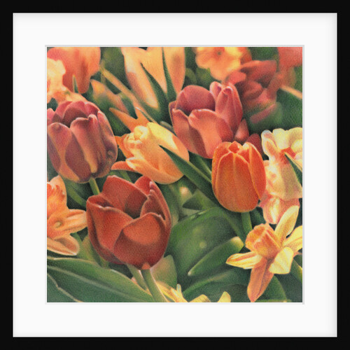 Tulips by Kirsten Soderlind