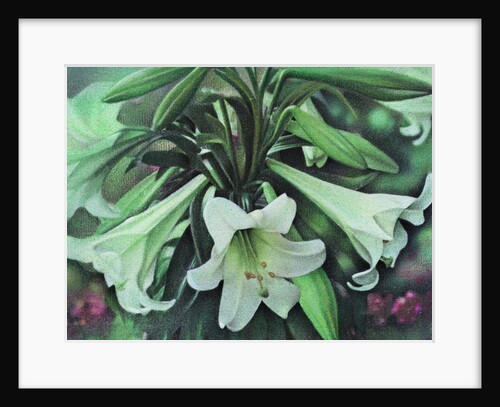 Easter Lillies by Kirsten Soderlind