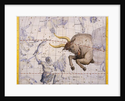 The Constellation of Taurus the Bull and Orion by James Thornhill