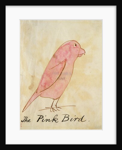The Pink Bird by Edward Lear