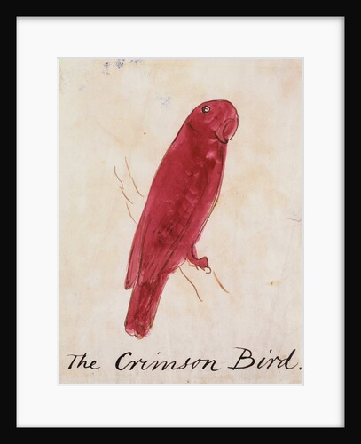 The Crimson Bird by Edward Lear