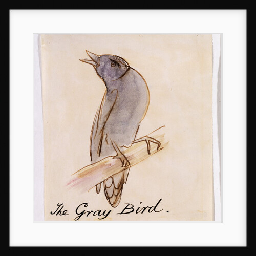 The Gray Bird by Edward Lear