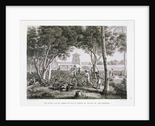 Guam Island: View of the Garden and a Party at the Governor's Palace Book Illustration by Anonymous