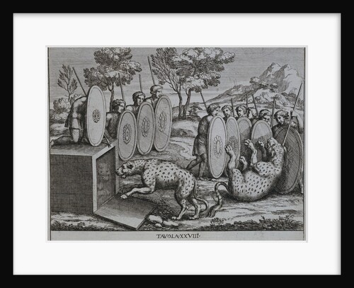 Illustration of Romans Capturing Leopards by Pietro Santo Bartoli