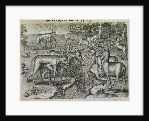 Engraving by Theodor de Bry After Stag Hunting by Jacques Le Moyne