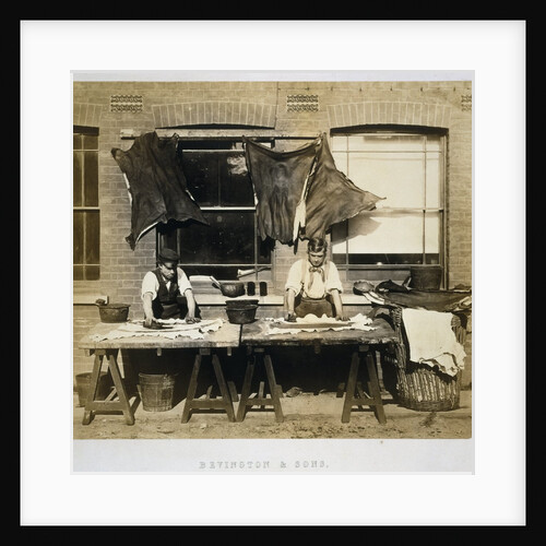 Photograph of Leather Dying for Glove-Making at Bevingtons and Sons by Anonymous