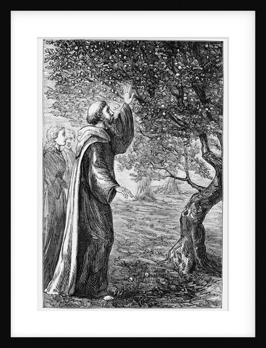 Illustration of Saint Columba Blessing the Apples by Anonymous
