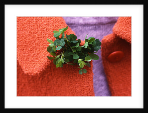Shamrock Worn on St. Patrick's Day by Anonymous