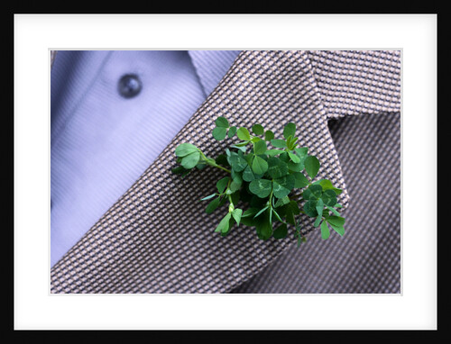 Shamrock Worn on St. Patrick's Day by Anonymous