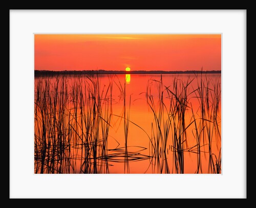 Sunset Over Lake Hamilton by Anonymous