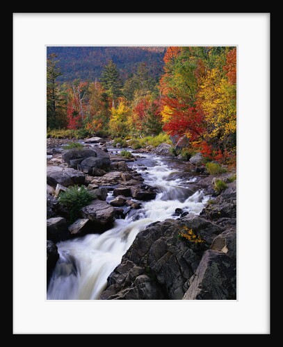 Ausable River in Autumn by Anonymous