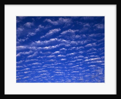 Cirrus Clouds by Anonymous