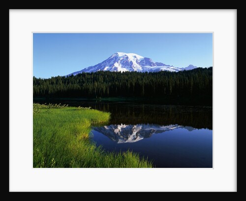 Mt. Rainier by Anonymous