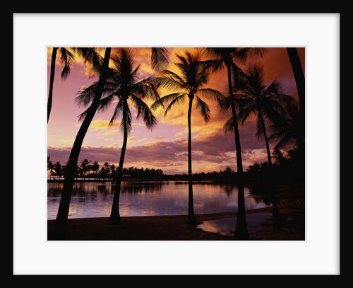 Sunset at Anaehoomalu Bay by Anonymous