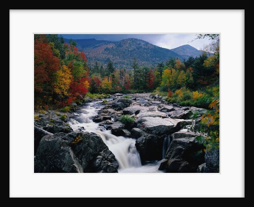 Cascades on Ausable River by Anonymous