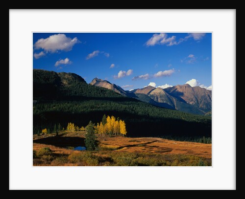 Autumn at Molas Divide by Anonymous