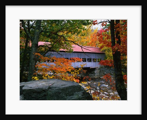 Albany Bridge Above Swift River by Anonymous