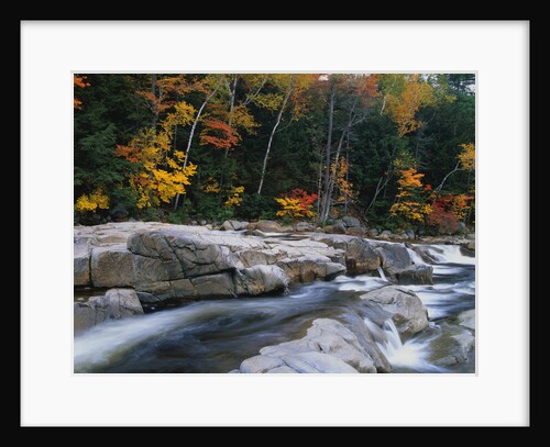 Ausable River in Autumn by Anonymous