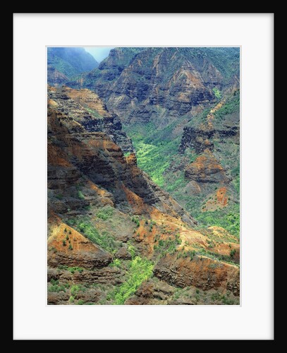 Waimea Canyon by Anonymous