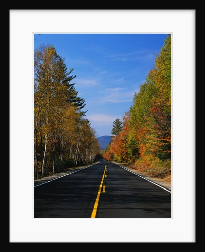 Kancamagus Highway in Autumn by Anonymous