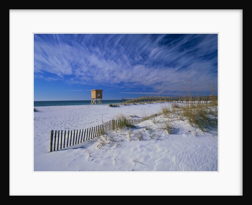 White Sands of Santa Rosa Island by Anonymous