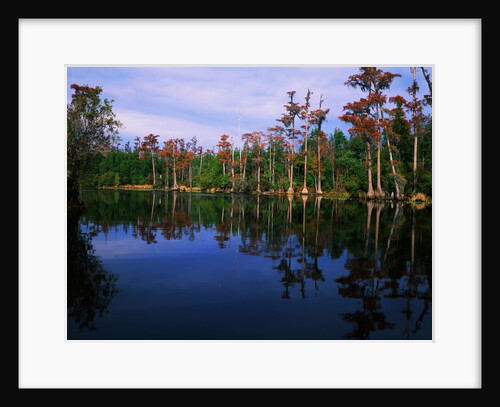 Billy's Lake by Anonymous