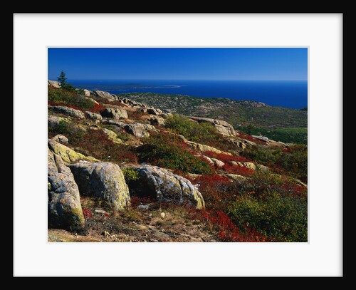 Granite Outcrops on Cadillac Mountain by Anonymous