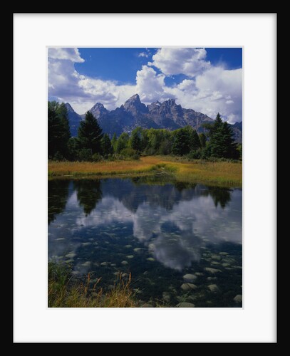 Shallow Pond near Teton Range by Anonymous