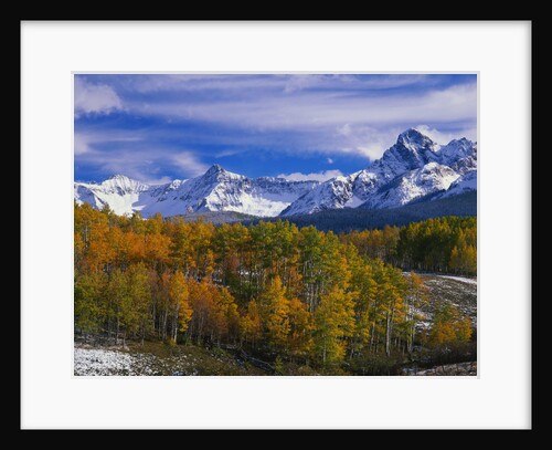 Golden Aspens and Mount Sneffels by Anonymous