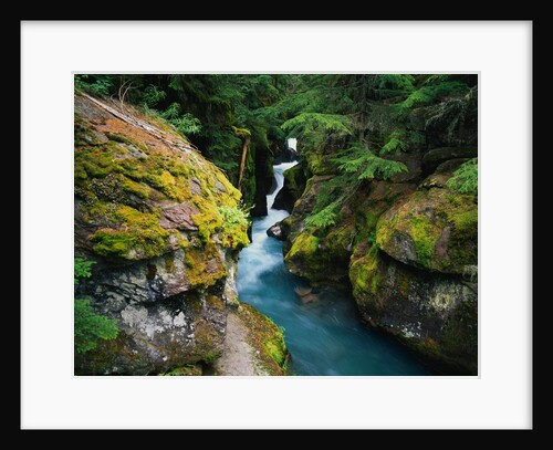 Avalanche Creek by Anonymous