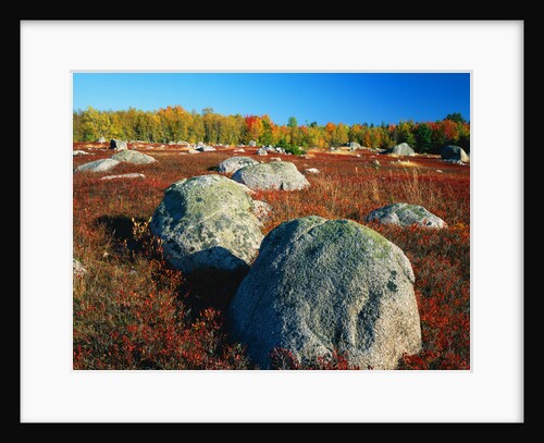 Field of Granite Boulders by Anonymous