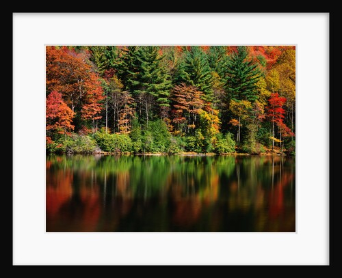 Reflections on Lake Conasauga by Anonymous