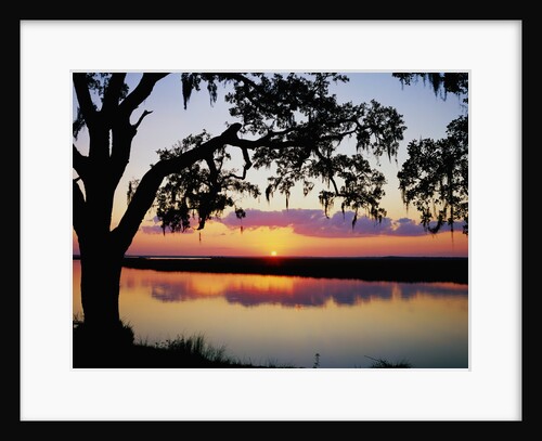Sun Setting over Brickhill River by Anonymous