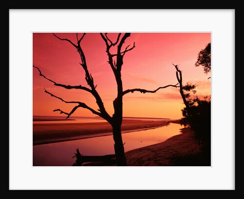 South End Beach at Twilight by Anonymous
