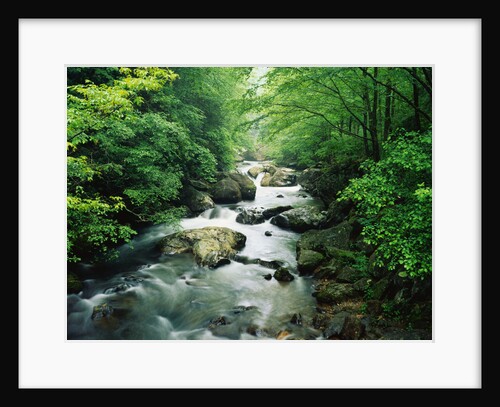 Tallulah River by Anonymous