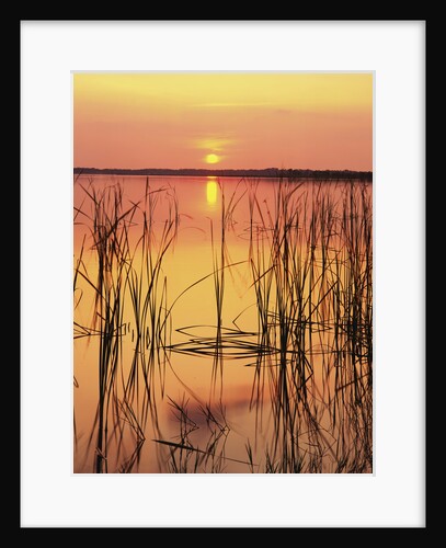 Sun Setting over Lake Hamilton by Anonymous