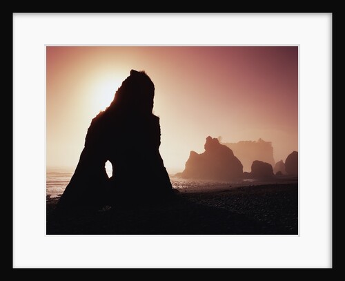 Sea Stacks in Fog Along Ruby Beach by Anonymous