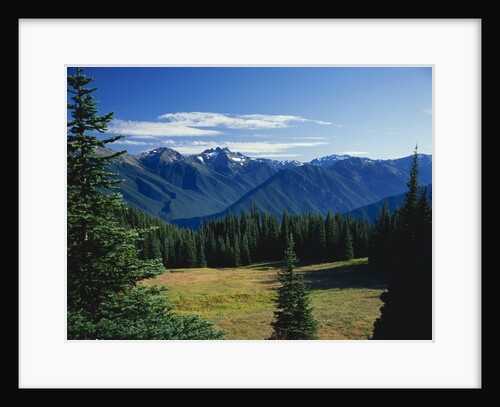 Gray Wolf Ridge by Anonymous