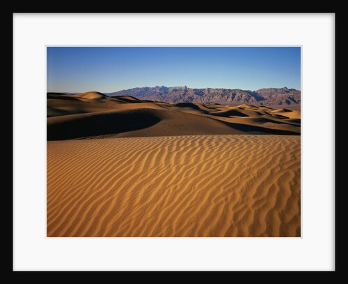 Death Valley Sand Dunes by Anonymous