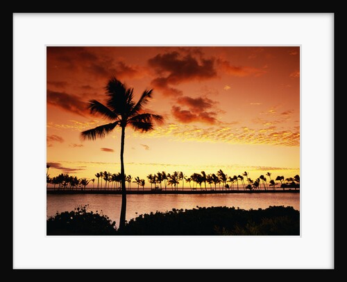 Sunset at Anaehoomalu Bay by Anonymous