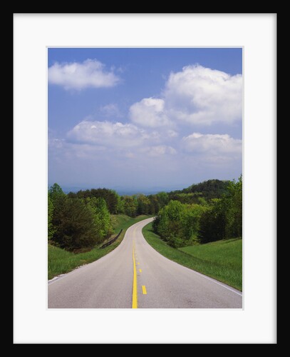 Highway Passing Through Taledega National Forest by Anonymous