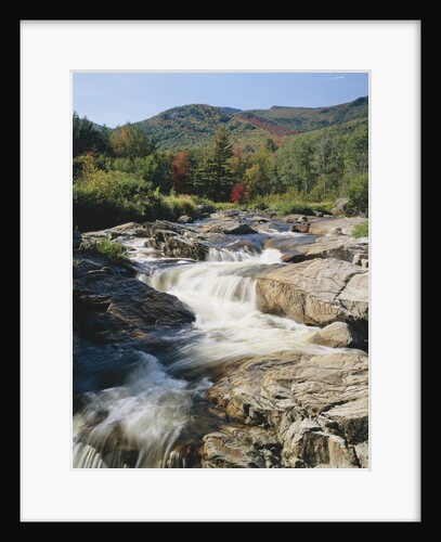 Ausable River Rapids by Anonymous