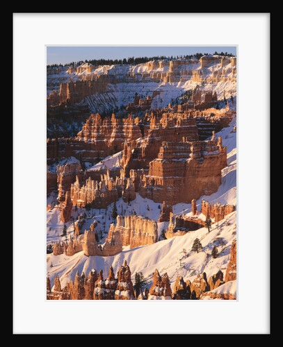 Bryce Canyon Amphitheater by Anonymous